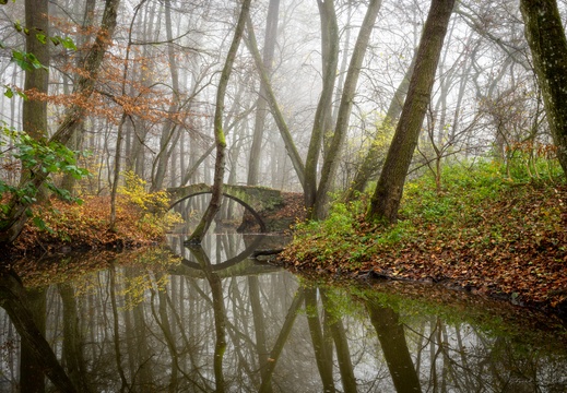 Okolí Brna